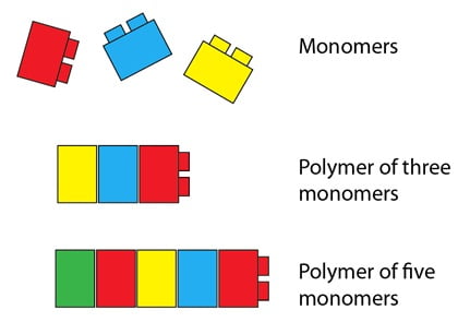 monomers_1