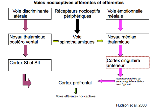 ma rencontre avec les esprits de pouvoir