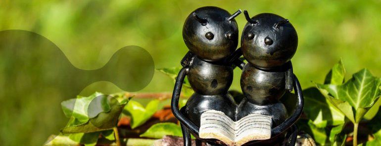 Livres Science et Foi