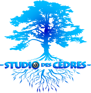studiodescedres_logo_transapent logo studio des cèdres